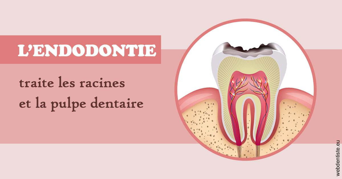 https://dr-grosman-gilles.chirurgiens-dentistes.fr/L'endodontie 2