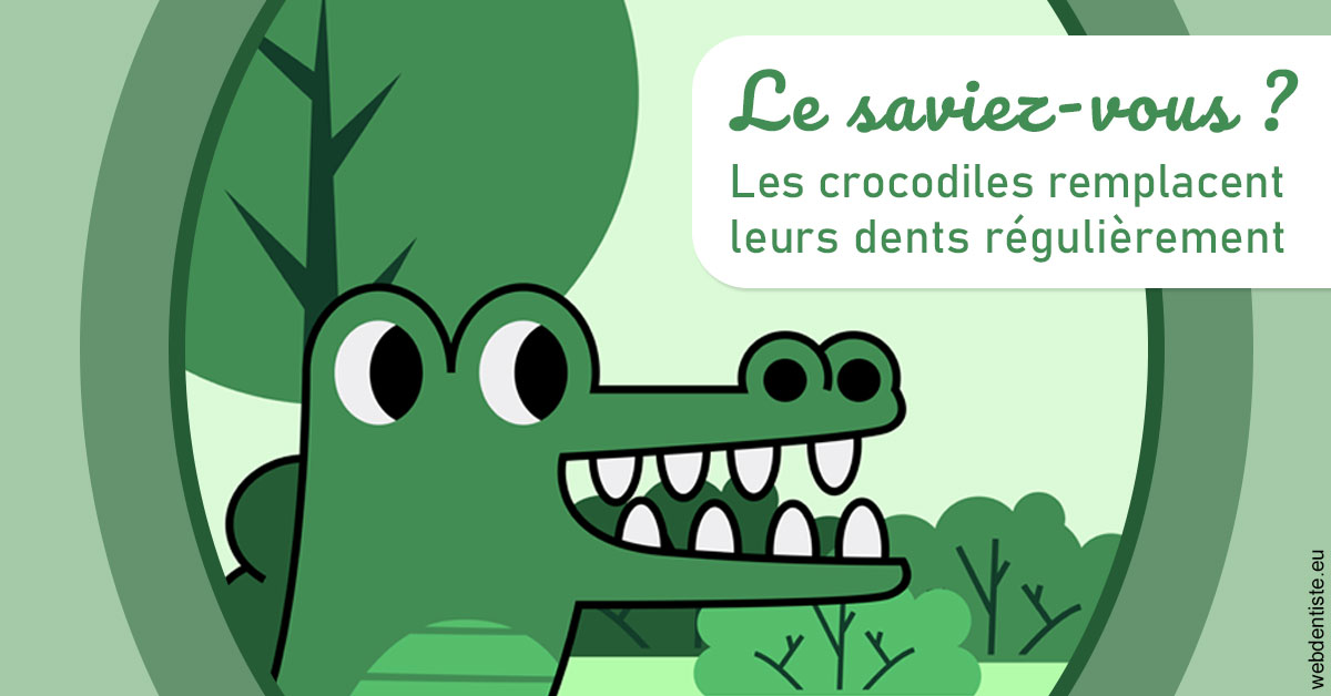 https://dr-grosman-gilles.chirurgiens-dentistes.fr/Crocodiles 2