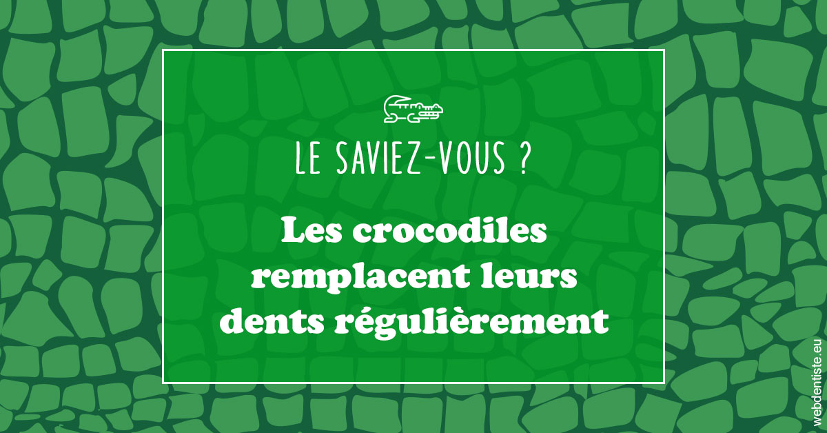 https://dr-grosman-gilles.chirurgiens-dentistes.fr/Crocodiles 1